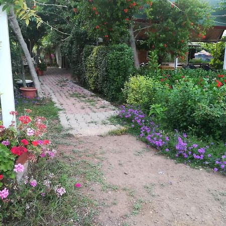 Kervan Pansiyon Çıralı Luaran gambar